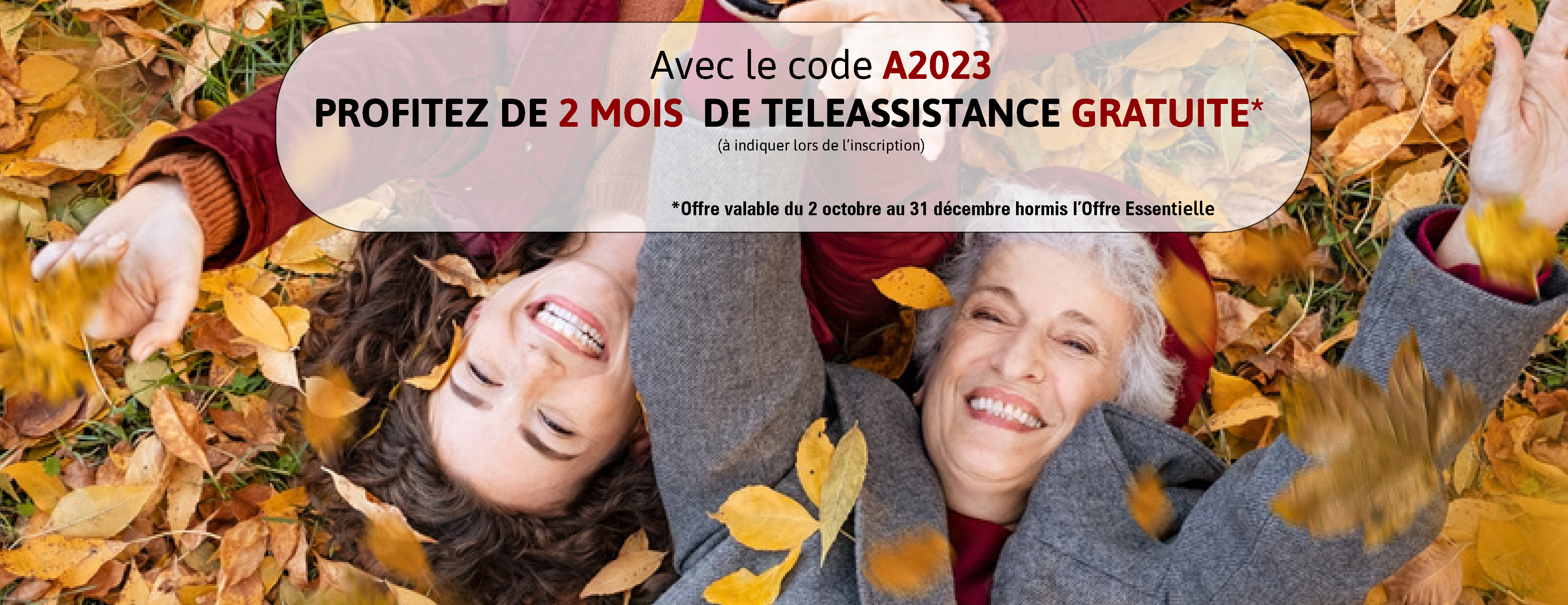 Offre fin année 2023